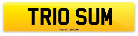 TR10 SUM