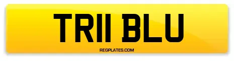 TR11 BLU