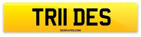 TR11 DES