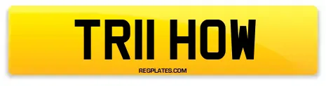 TR11 HOW