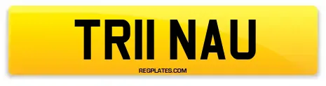 TR11 NAU