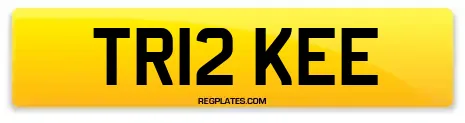 TR12 KEE
