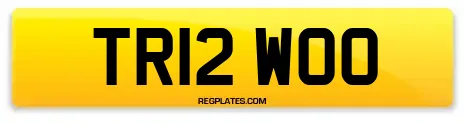 TR12 WOO