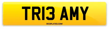 TR13 AMY