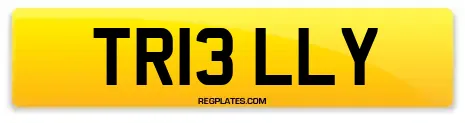 TR13 LLY