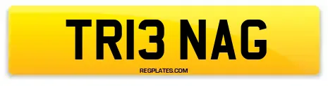 TR13 NAG