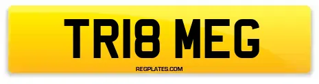 TR18 MEG