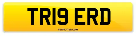 TR19 ERD