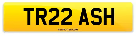TR22 ASH