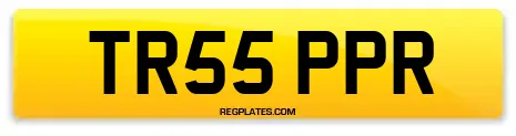 TR55 PPR
