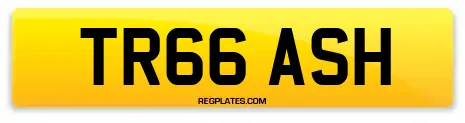 TR66 ASH