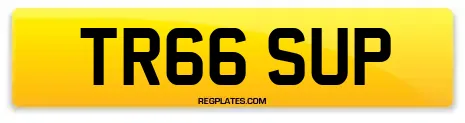 TR66 SUP
