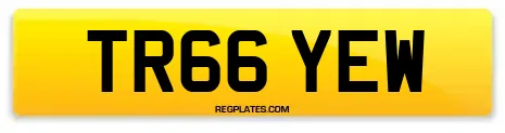 TR66 YEW