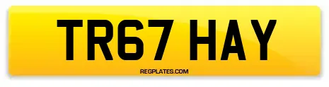 TR67 HAY