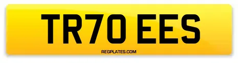 TR70 EES