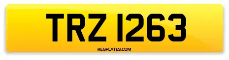 TRZ 1263