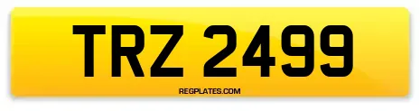 TRZ 2499