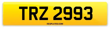 TRZ 2993