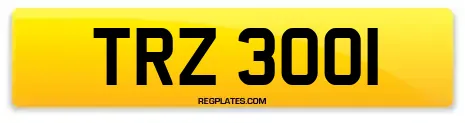 TRZ 3001