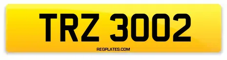 TRZ 3002