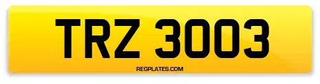 TRZ 3003