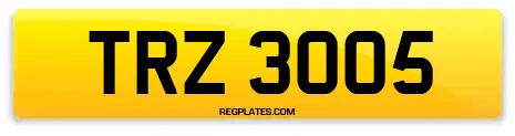 TRZ 3005
