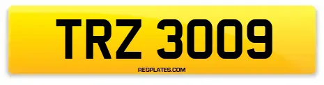 TRZ 3009