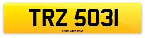 TRZ 5031