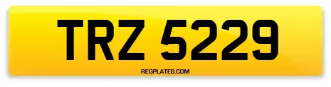 TRZ 5229
