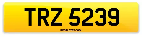 TRZ 5239