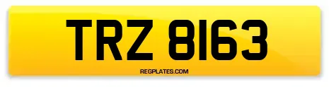 TRZ 8163