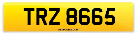TRZ 8665