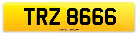 TRZ 8666