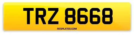 TRZ 8668