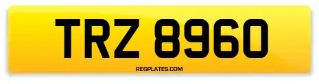 TRZ 8960