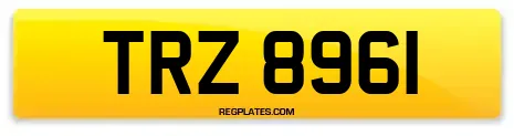 TRZ 8961