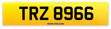 TRZ 8966