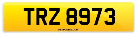 TRZ 8973