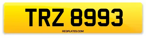 TRZ 8993