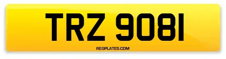 TRZ 9081