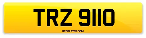 TRZ 9110