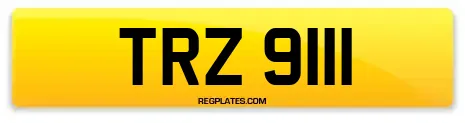 TRZ 9111