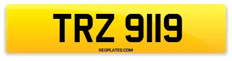 TRZ 9119