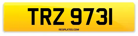 TRZ 9731