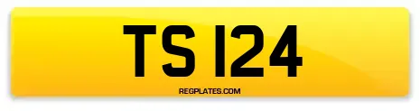 TS 124