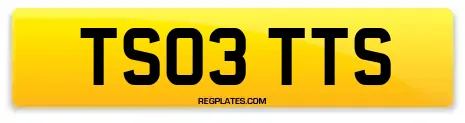 TS03 TTS