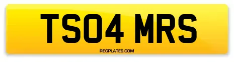 TS04 MRS