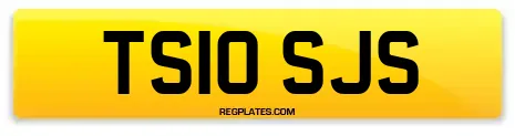 TS10 SJS