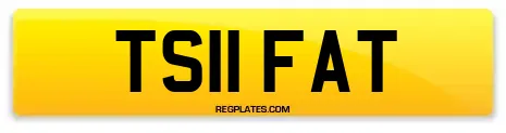 TS11 FAT