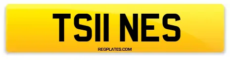 TS11 NES